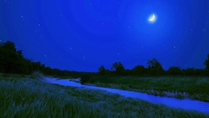 Suoni di una notte d’estate: cicale, ruscelli e magie sonore per rilassarsi