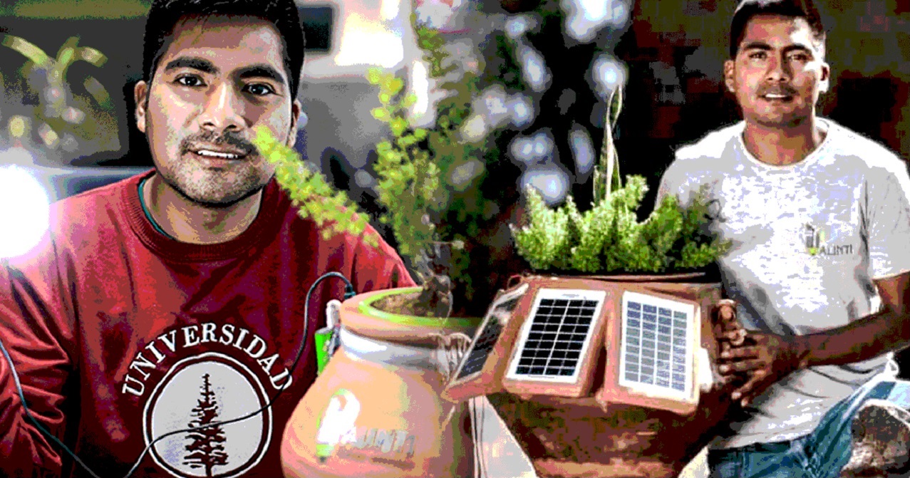 "L'Energia Verde delle Piante: La Rivoluzione di Hernán Asto e le Prospettive per il Futuro"