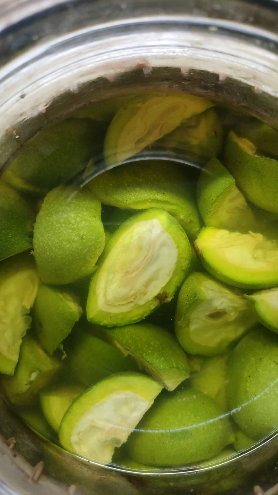Liquori fatti in casa: tradizione, gusto e passione in bottiglia