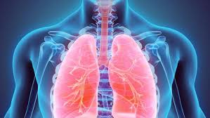 Sì! Possiamo porre fine alla Tubercolosi: Impegno, Investimento e Azione per un Futuro Senza TB